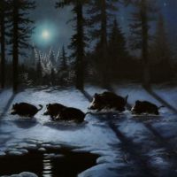 Przed północą wyszły dziki. Księżycowa noc wśród watahy.